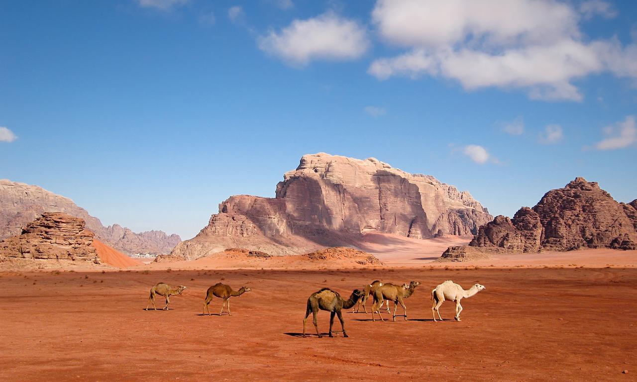 Wadi Rum Moon Light Camp Екстериор снимка