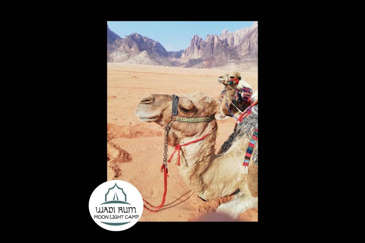 Wadi Rum Moon Light Camp Екстериор снимка